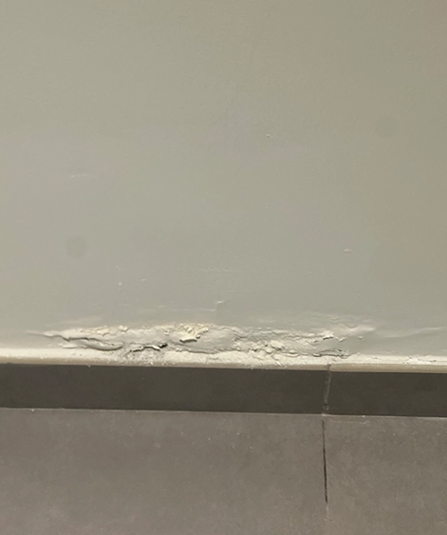 Snaglink